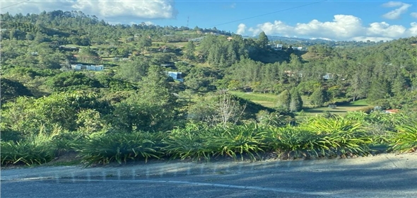 Altos Loma Del Escobero Envigado Antioquia,  | Residential Lot for Sale in Altos del Escobero