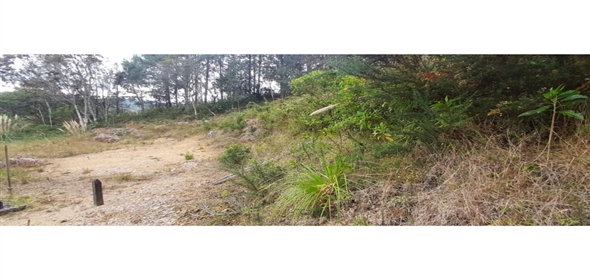 Altos Loma Del Escobero Envigado Antioquia,  | Residential Lot for Sale in Altos del Escobero