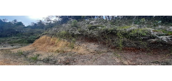 Altos Loma Del Escobero Envigado Antioquia,  | Residential Lot for Sale in Altos del Escobero