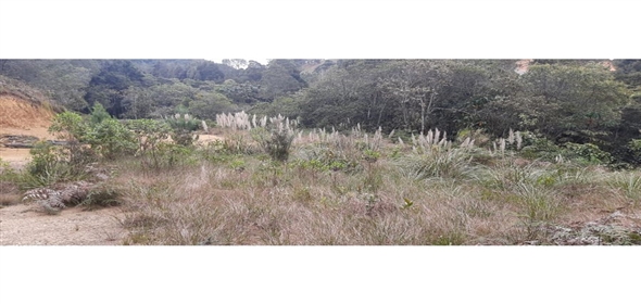 Altos Loma Del Escobero Envigado Antioquia,  | Residential Lot for Sale in Altos del Escobero