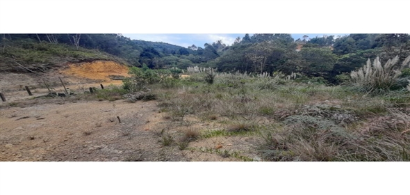 Altos Loma Del Escobero Envigado Antioquia,  | Residential Lot for Sale in Altos del Escobero