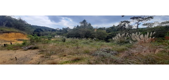 Altos Loma Del Escobero Envigado Antioquia,  | Residential Lot for Sale in Altos del Escobero