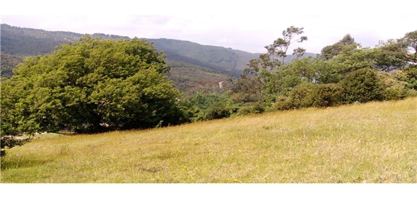 Roldanillo No. 2 , La Calera Engativa Cundinamarca,  | Lot for Sale - Cundinamarca, La Calera