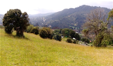 Roldanillo 2 El Salitre , La Calera Apartado Antioquia,  | Lot for Sale - Cundinamarca, La Calera