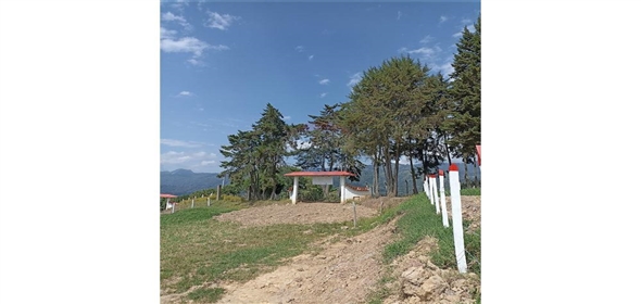 Silvania Engativa Cundinamarca, 252240 | 3 Lots for Sale in Silvania - 3 Lotes en Venta en Silvania