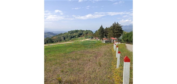 Silvania Engativa Cundinamarca, 252240 | 3 Lots for Sale in Silvania - 3 Lotes en Venta en Silvania