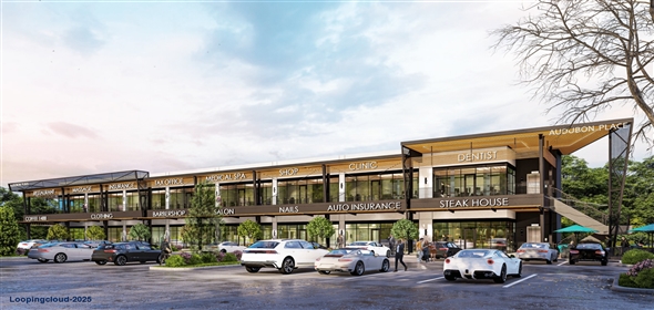 FM 1488 and Mills Creek Magnolia Texas, 77354 | Audubon Retail Center