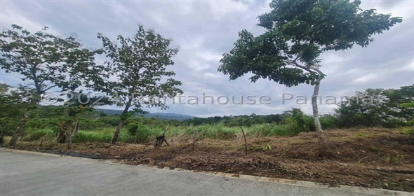 Terreno Inversión Calle Panama Norte Panama City Panamá Province, 07127 | Splendid Commercial Land - Terreno en Panamá Norte