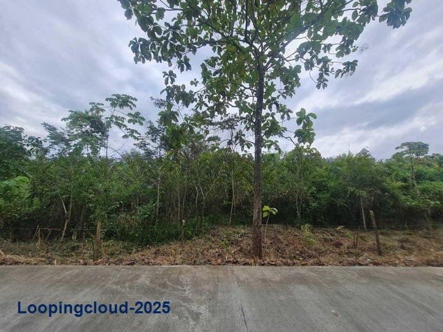 Land for Sale in Panama City Panamá Province 07127