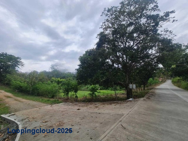 Land for Sale in Panama City Panamá Province 07127