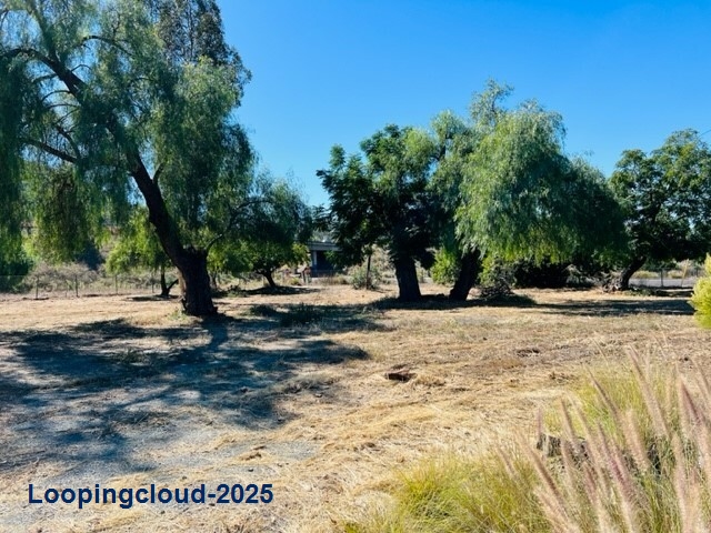 Exclusive Land