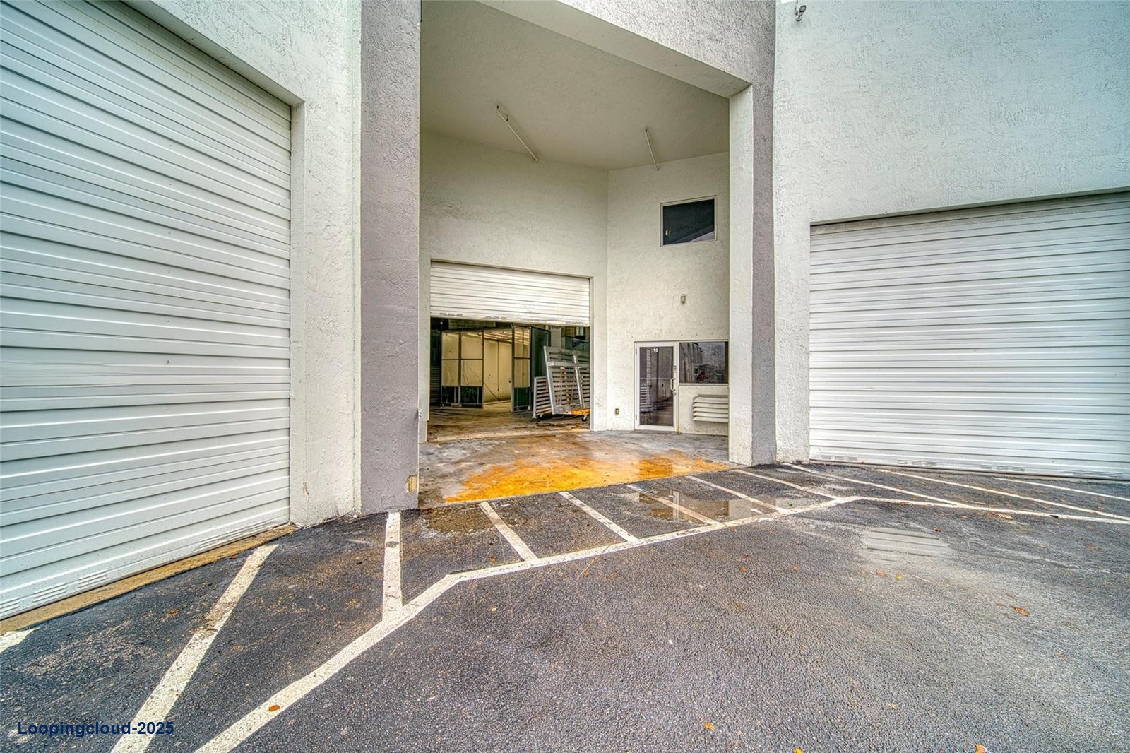 Specialized Fence Painting