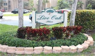 9441 Live Oak Pl # 101 Davie Florida, 33324 | Beautifull Townhouse