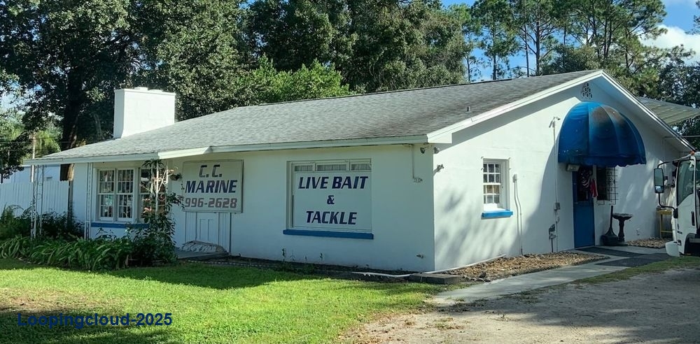 Retail Property for Sale in  Florida 34639