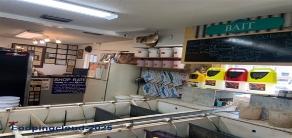 3702 Land O' Lakes Blvd, Land O Lakes Florida, 34639 | 2,458 SF Free Standing Retail- High Visibility on US41 in Tampa Metro