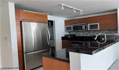 253 NE 2nd St # 3602 , Miami Florida                                                                                              33132