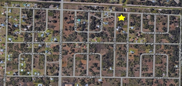 29315 Goodhue St Punta Gorda Florida, 33982 | Beautiful Land