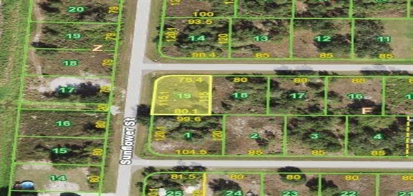 29315 Goodhue St Punta Gorda Florida, 33982 | Beautiful Land