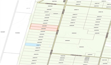 Land for Sale in Mission Texas 78572