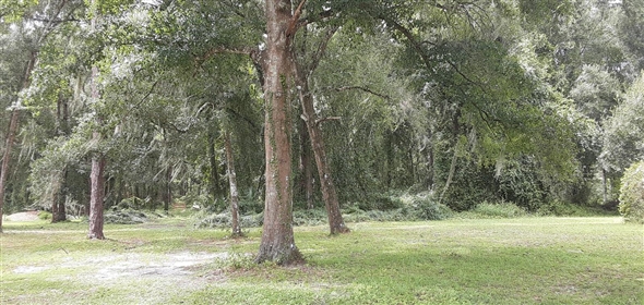 Warm Springs Wildwood Florida, 34785 | 20 ACRES surrounded by the Villages
