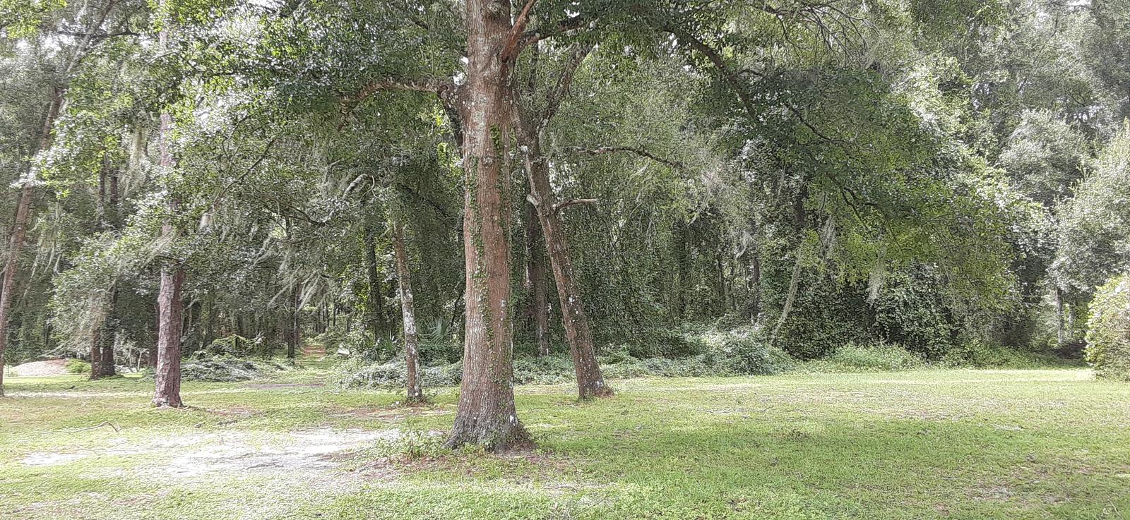 20 ACRES surrounded by the Villages