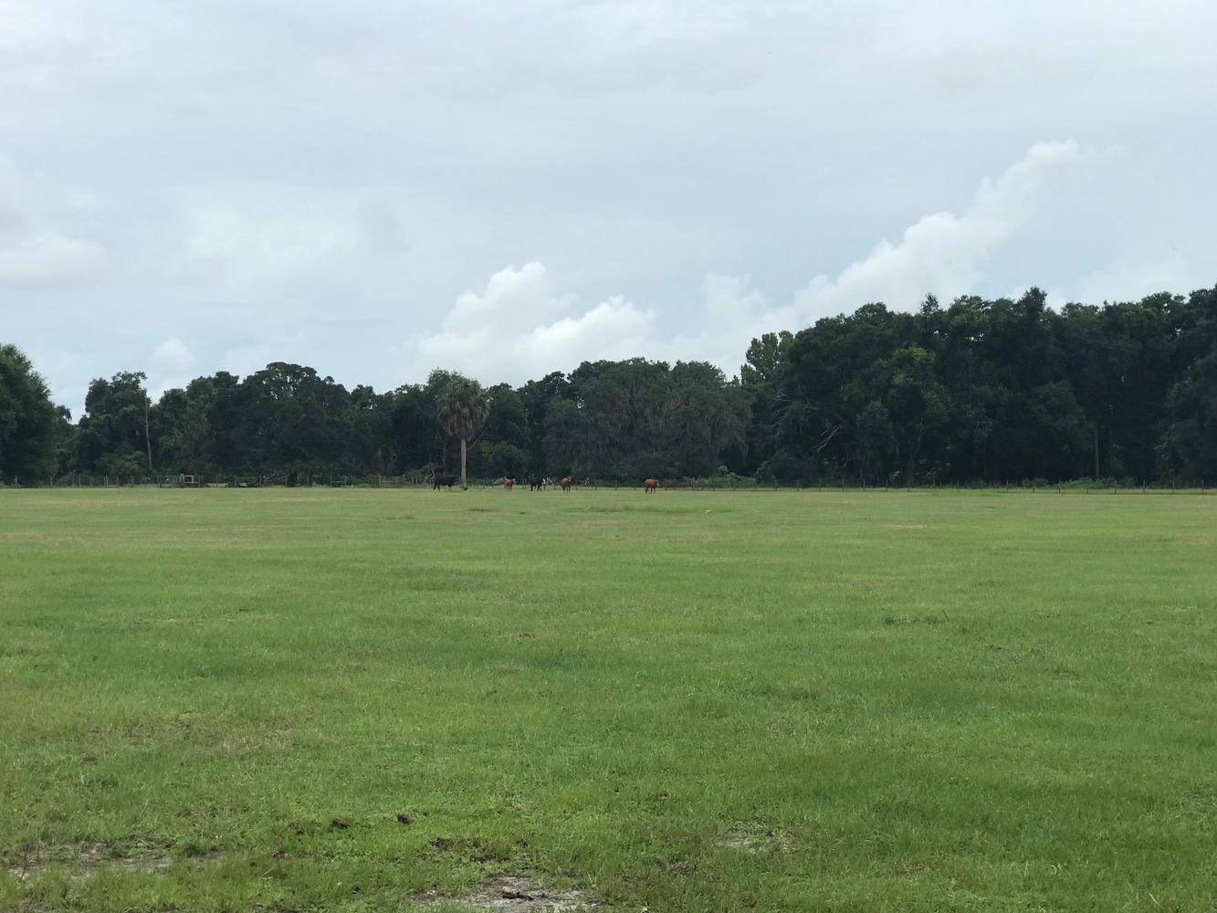 20 ACRES surrounded by the Villages