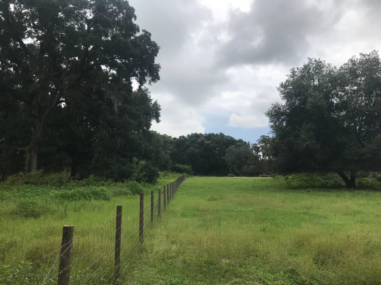 20 ACRES surrounded by the Villages