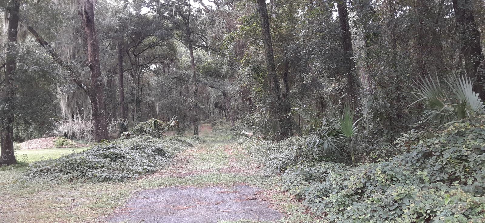 20 ACRES surrounded by the Villages