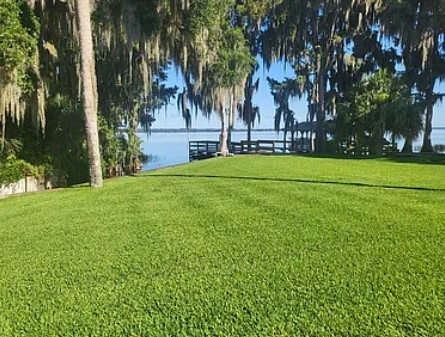 Stunning Totally Renovated Home