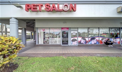 Miami Miami Florida, 33173 | Beautiful Dog Grooming