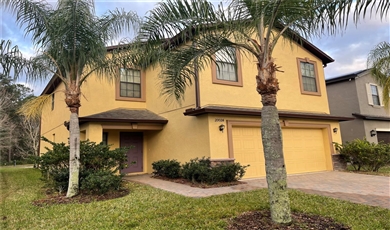 20024 DATE PALM WAY Tampa Florida, 33647 | Tampa Family Home: Modern and Beautiful