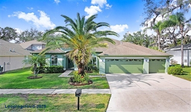 2005 WEXFORD GREEN DRIVE , Valrico Florida                                                                                              33594
