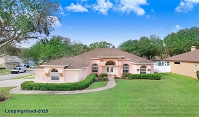 2813 NORWOOD HILLS LANE , Valrico Florida                                                                                              33596