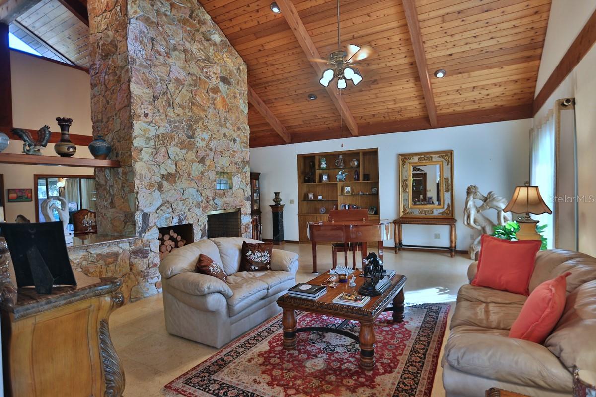 Exquisite Gentleman Horse Farm