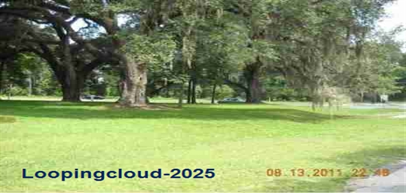 720 NW 80 BOULEVARD Gainesville Florida, 32607 | Lovely 4-Bedroom Home