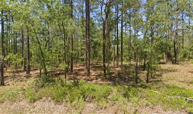 NW Geranium Ave, Dunnellon, FL 34431 , Dunnellon Florida                                                                                              34431