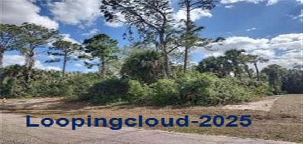531 Glendale Ave Banyan Village LA BELLE, FL 33935 La Belle Florida, 33935 | Beautiful Land