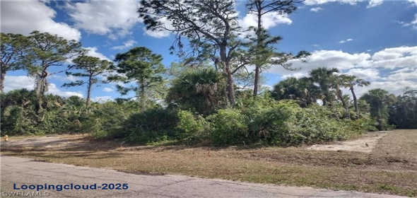 5003 E Hummingbird Dr La Belle Florida, 33935 | Beautiful Land