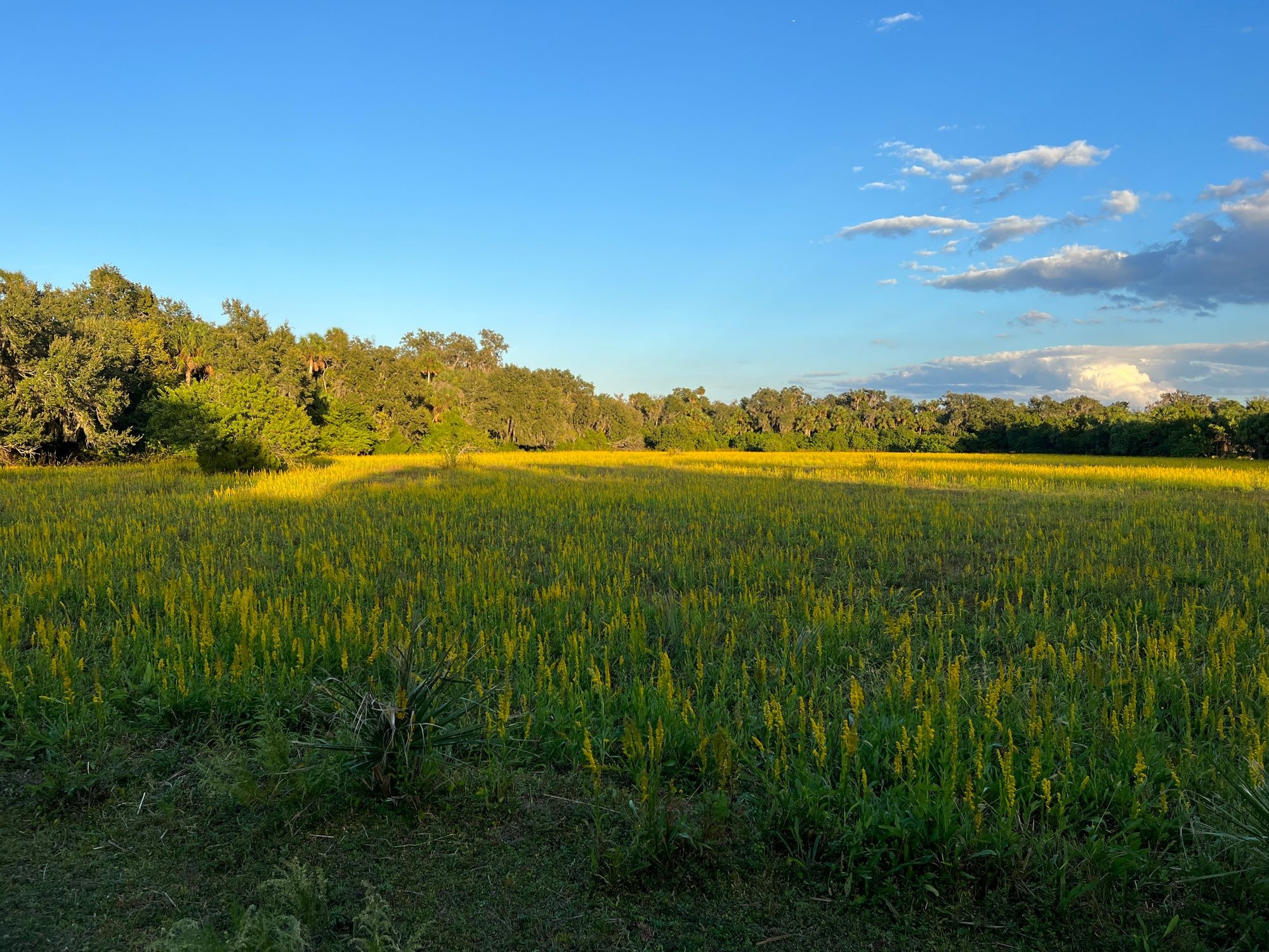Land for Sale in Sanford Florida 32773