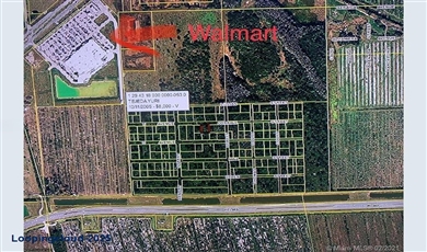 E Ave Helms Rd , La Belle Florida                                                                                              33935