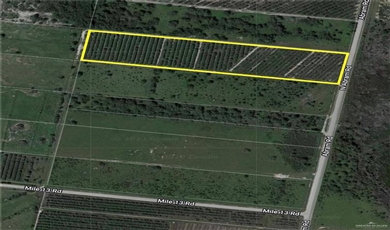 0 Abram Road Mission Texas, 78574 | Land for Sale in Mission Texas 78574
