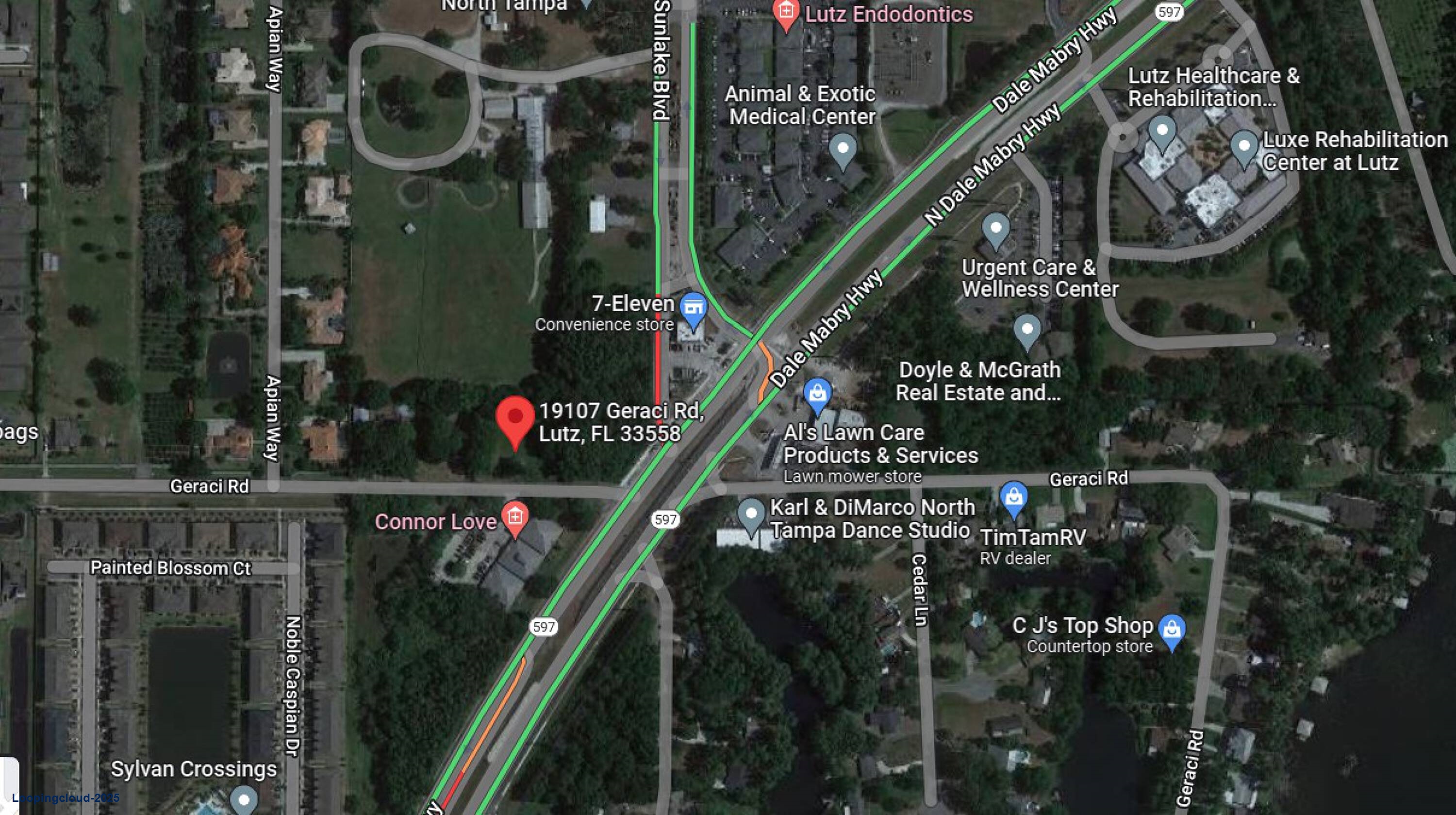 Office for Sale in Lutz Florida 33548