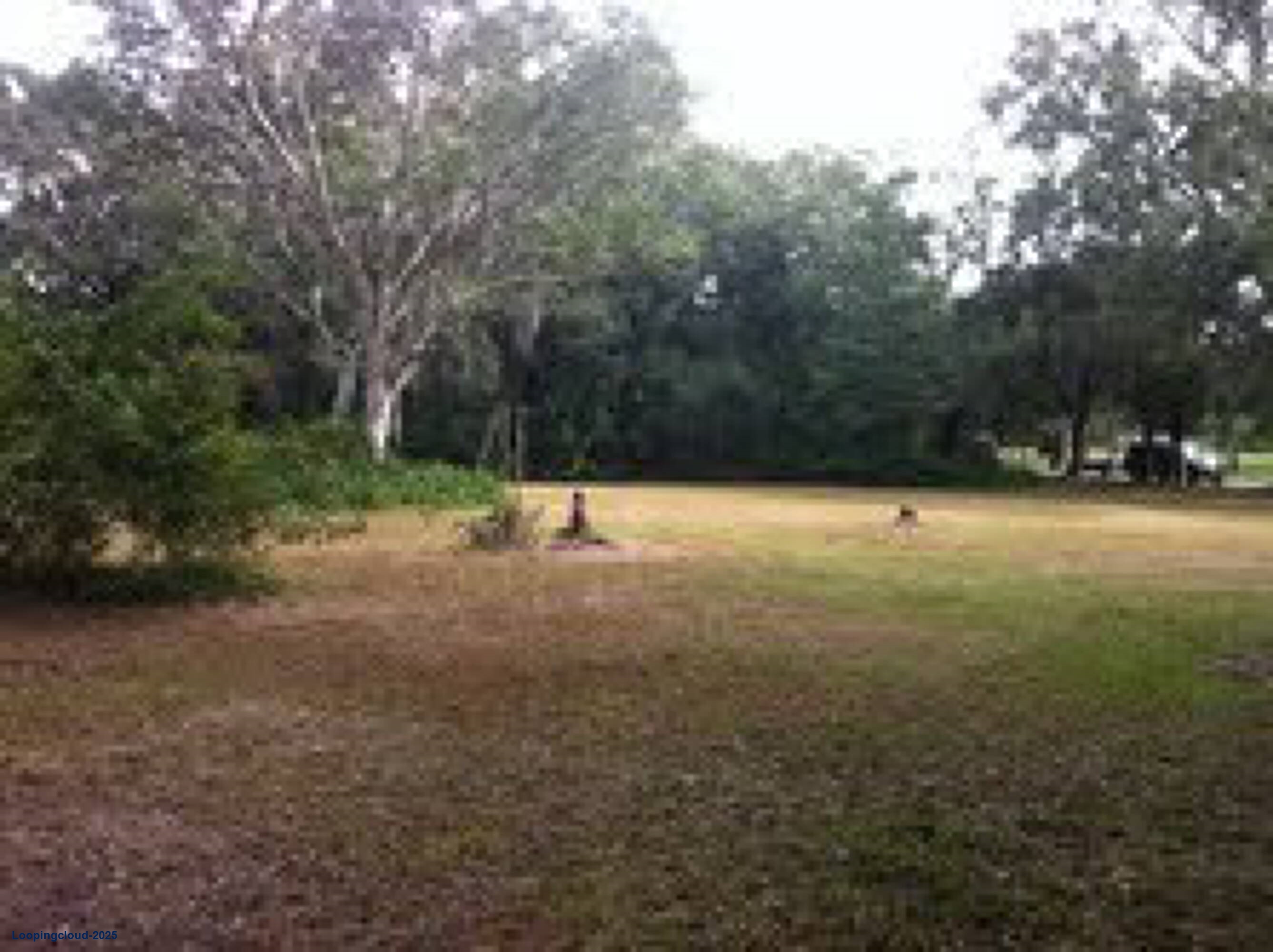 Office for Sale in Lutz Florida 33548