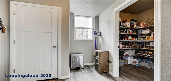 10790 Rolling Peaks Drive Peyton Colorado, 80831 | Luxury single family home