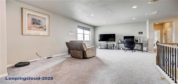 10790 Rolling Peaks Drive Peyton Colorado, 80831 | Luxury single family home