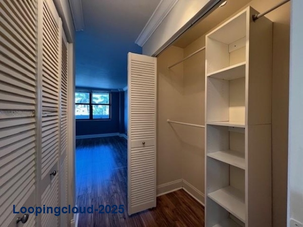 Luxury Condo