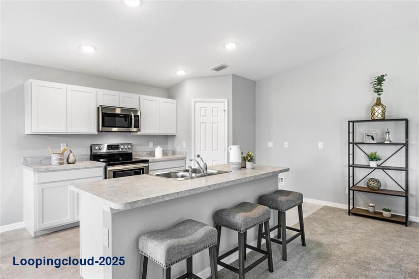 Brand New Single Family Home – The Gasparilla | 4BR, Vaulted Ceilings, Impact Windows & Move-In Ready!
