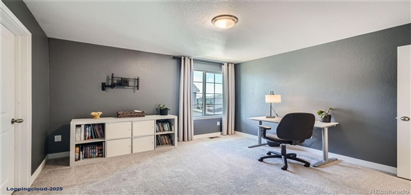 4875 E 148th Place Thornton Colorado, 80602 | Dream Home in Willow Bend