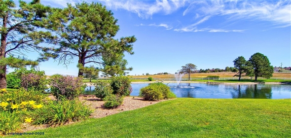 5805 Powell Road Parker Colorado, 80134 | Dream Home in Timbers