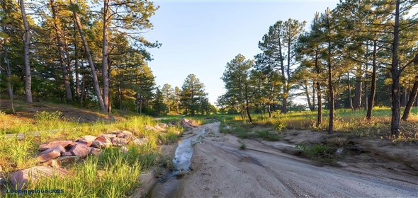 5805 Powell Road Parker Colorado, 80134 | Dream Home in Timbers